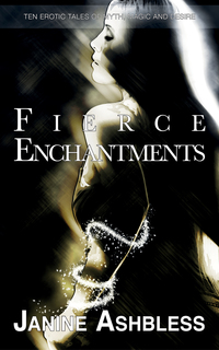 Cover image: Fierce Enchantments 9781909181687