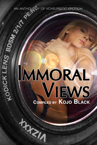 Cover image: Immoral Views