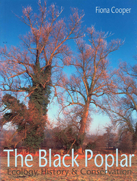 صورة الغلاف: The Black Poplar 9781905119059