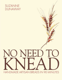 Cover image: No Need to Knead 9781908117212