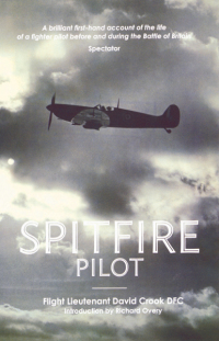 表紙画像: Spitfire Pilot 9781906502041