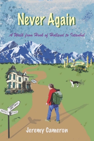 Cover image: Never Again 1st edition 9781908493965
