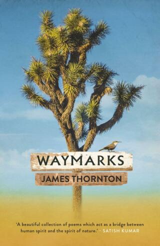 Cover image: Waymarks 9781909954519