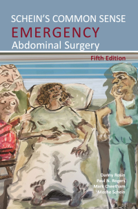 Cover image: Schein's Common Sense Emergency Abdominal Surgery 5th edition 9781910079874