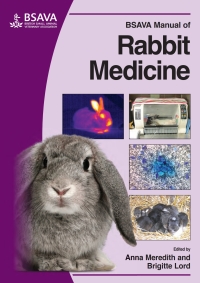 Cover image: BSAVA Manual of Rabbit Medicine 1st edition 9781905319497