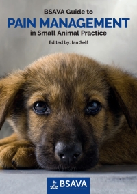 Cover image: BSAVA Guide to Pain Management in Small Animal Practice 1st edition 9781910443002
