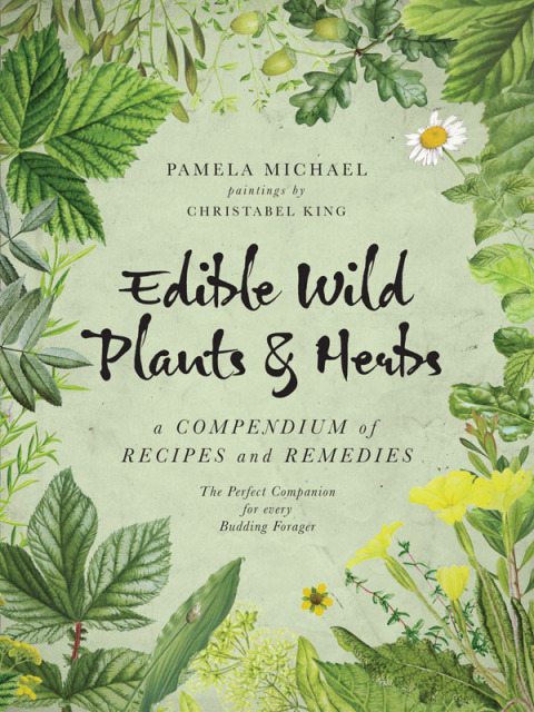 Edible Wild Plants & Herbs: A Compendium of Recipes and Remedies - FULL INSTANT DOWNLOAD | PDF DOCX EPUB