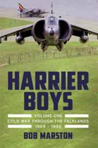 Imagen de portada: Harrier Boys 9781911621898
