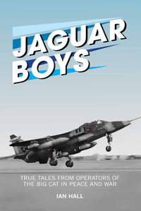 Titelbild: Jaguar Boys 9781911621232