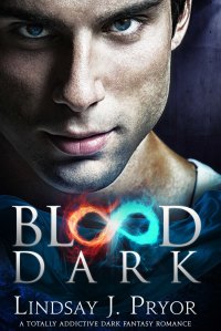 Cover image: Blood Dark 9781910751350