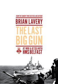 Cover image: The Last Big Gun 9781910860014