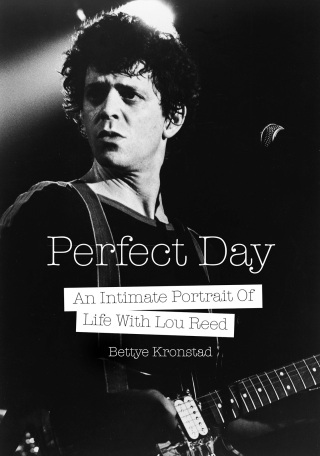 Cover image: Perfect Day 9781911036067