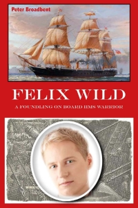 Omslagafbeelding: Felix Wild 1st edition 9781911105213