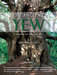 Immagine di copertina: The Ancient Yew 9781785700781