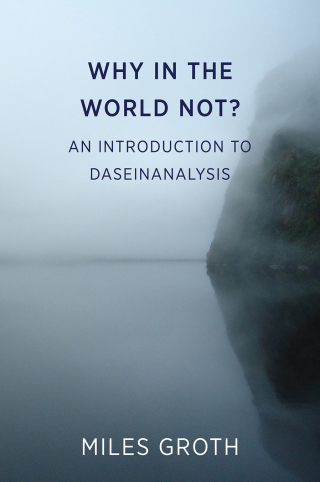 Cover image: Why in the World Not? An Introduction to Daseinanalysis 9781911383925