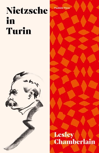 Cover image: Nietzsche in Turin 9781911590460