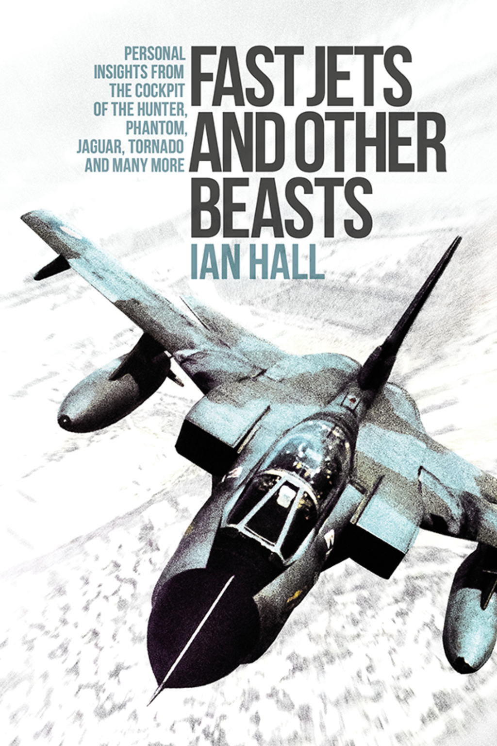 Fast Jets and Other Beasts Personal Insights from the Cockpit of the Hunter, Phantom, Jaguar, Tornado and Many More