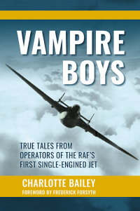 Cover image: Vampire Boys 9781911667391