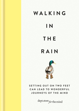 Cover image: Walking in the Rain 9781912023257