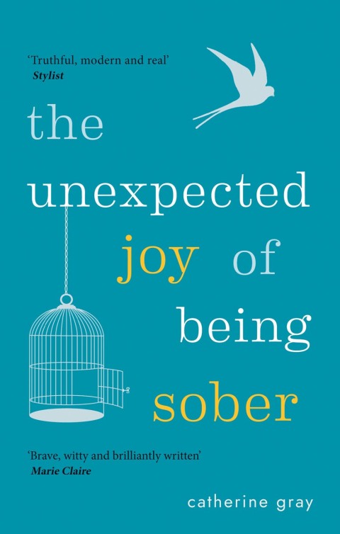 The Unexpected Joy of Being Sober : THE SUNDAY TIMES BESTSELLER - FULL INSTANT DOWNLOAD | PDF DOCX EPUB