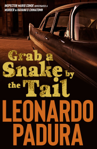 Cover image: Grab a Snake by the Tail 9781912242177