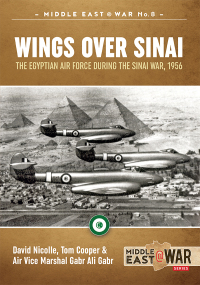 Imagen de portada: Wings Over Sinai 9781911096610