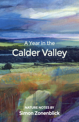 Cover image: A Year in the Calder Valley 9781913393953