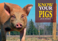 Imagen de portada: Know Your Pigs 3rd edition 9781912158546