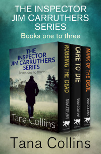 Cover image: The Inspector Jim Carruthers Series Books One to Three 9781913682798