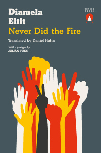 Immagine di copertina: Never Did the Fire 9781913867218