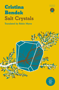 Omslagafbeelding: Salt Crystals 9781913867331