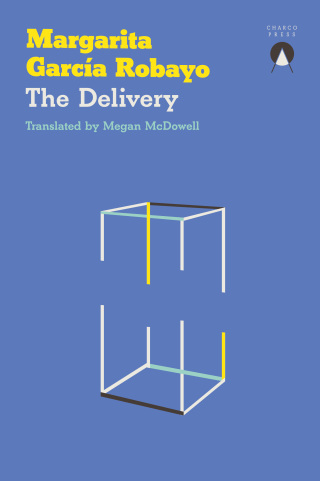 Cover image: The Delivery 9781913867690