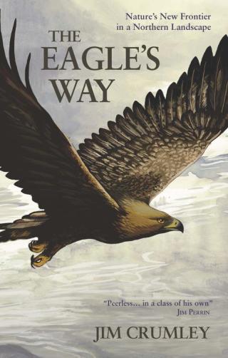 Imagen de portada: The Eagle's Way : Nature's New Frontier in a Northern Landscape 9781908643476