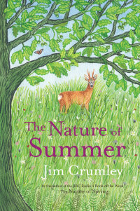 Cover image: The Nature of Summer 9781912235728