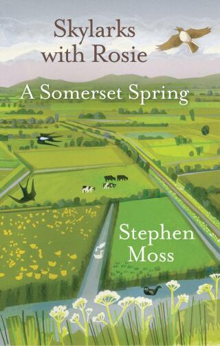 Cover image: Skylarks with Rosie 9781913393045