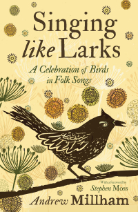 Immagine di copertina: Singing Like Larks 9781913393663