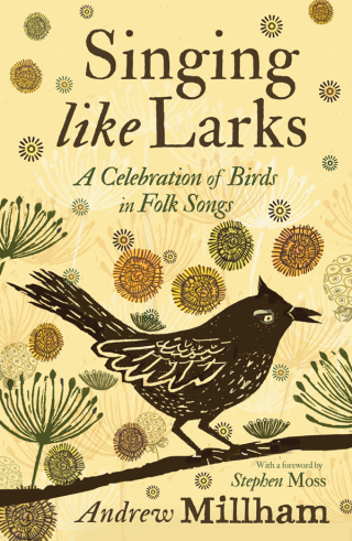 Imagen de portada: Singing Like Larks 9781913393663