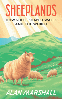 صورة الغلاف: Sheeplands 1st edition 9781915279385