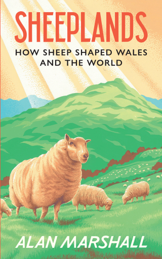 表紙画像: Sheeplands 1st edition 9781915279385