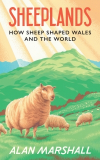 Cover image: Sheeplands 1st edition 9781915279408