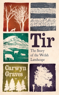 Cover image: Tir 1st edition 9781915279682