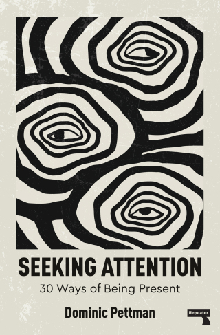 Cover image: Seeking Attention 9781915672674