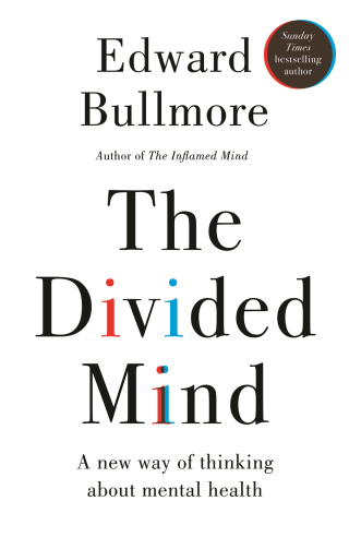 Cover image: The Divided Mind 9781915780478