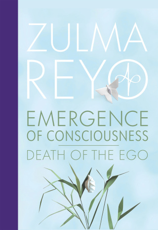 Cover image: Emergence of Consciousness 9781916746107
