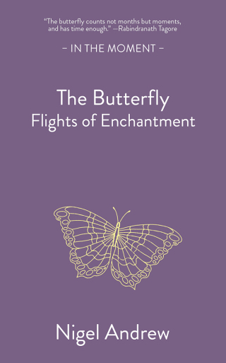 Cover image: The Butterfly 9781916812338