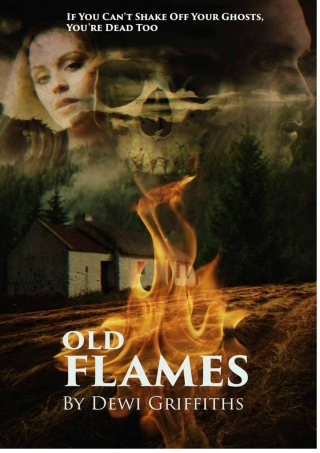Imagen de portada: Old Flames 9781999926328