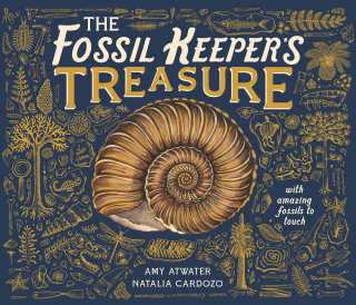 Cover image: The Fossil Keeper's Treasure 9781917044264
