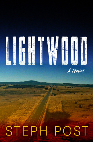 Cover image: Lightwood 9781917415002