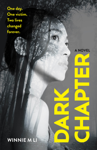 Cover image: Dark Chapter 9781917415101