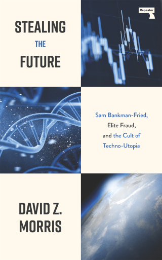 Cover image: Stealing The Future 9781917516082